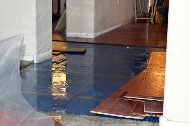 Professional Burst Pipe Cleanup technician working in Alton Bay, NH